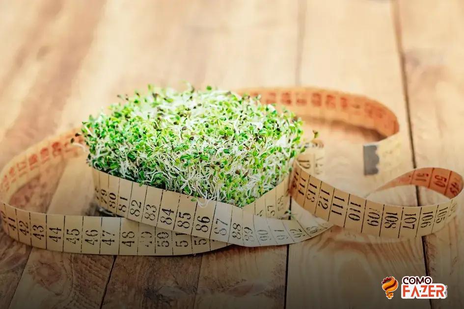 Escolhendo Restaurantes e Opções de Comida Saudável no Destino